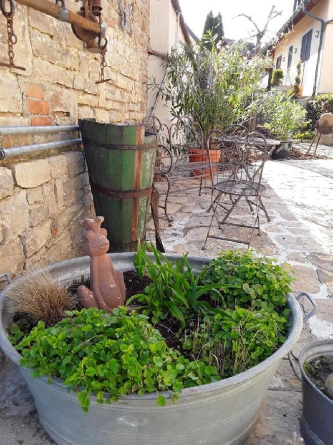 Ferienwohnung - Zimmervermietung Ringelmann دتلباخ المظهر الخارجي الصورة